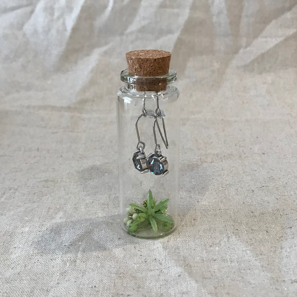 Crystal Earrings